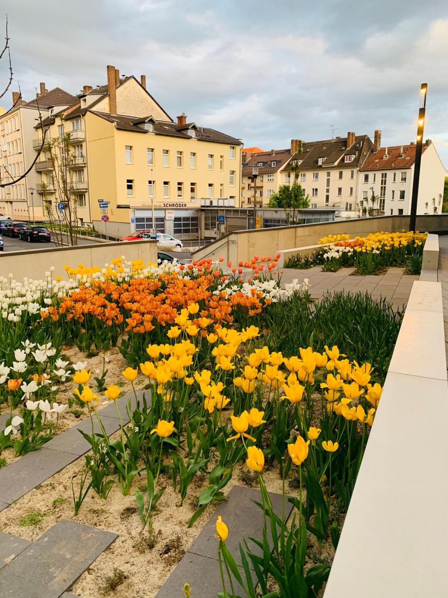 Stadtwohnung Mit Garten Kassel Kültér fotó